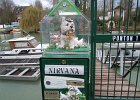 DSCN3468