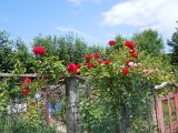 DSCN4340