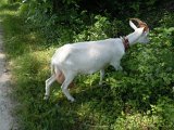 DSCN4345