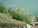 DSCN4354