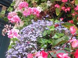 20140928 103302