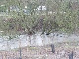 DSC02614